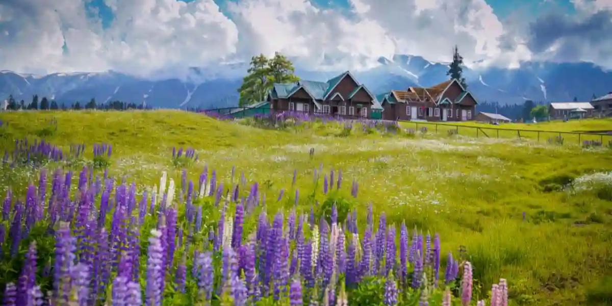 Amritsar to Kashmir Lakes & Valleys Tour