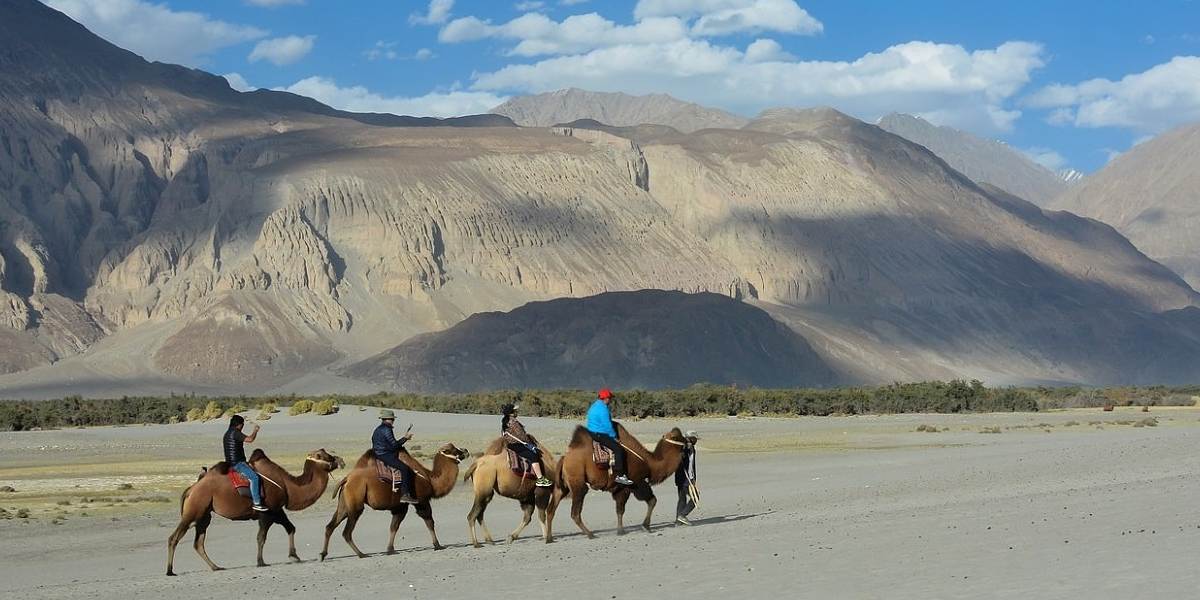 Chandigarh to Ladakh 10-Day Explorer: Peaks, Lakes & Culture