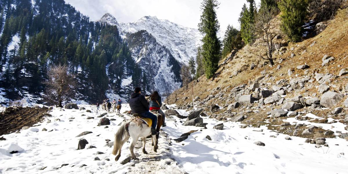Chandigarh to Shimla–Manali Scenic Journey