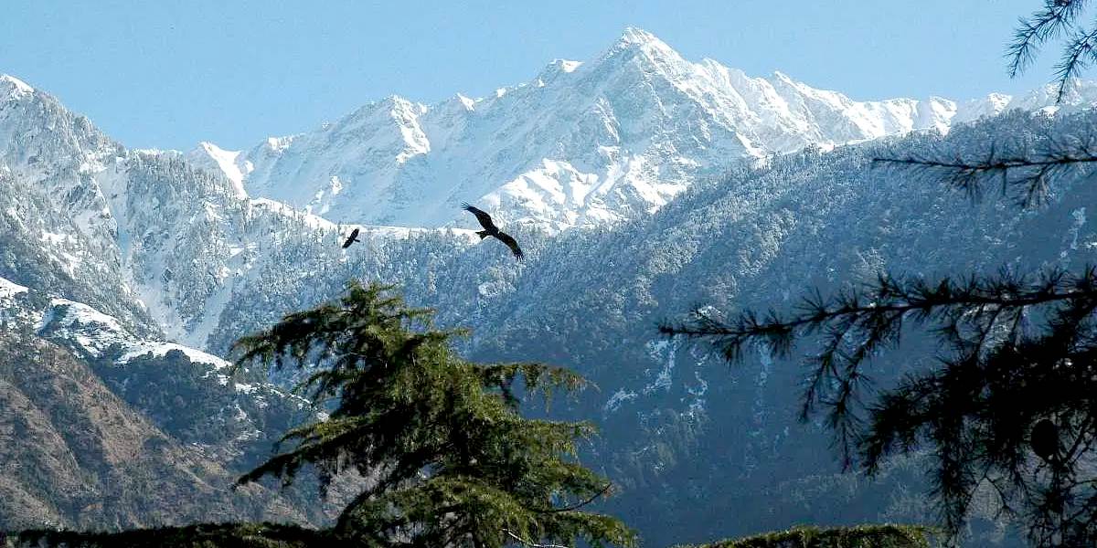 Amritsar to Dharamshala Peaceful Tour
