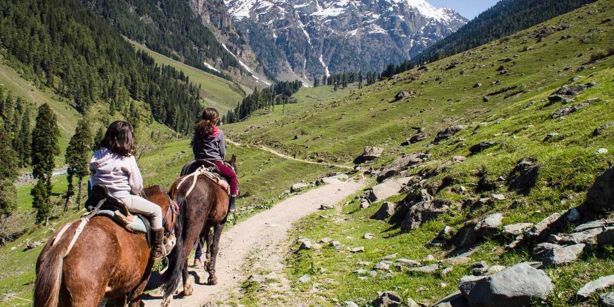 Explore Kashmir Valleys: Jammu to Srinagar Tour
