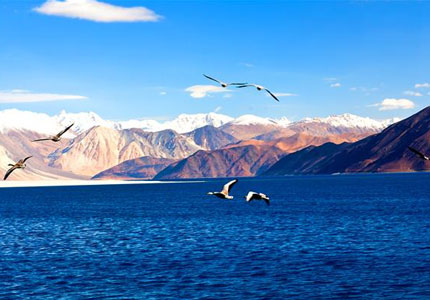 Ladakh Calling: Amritsar to Leh Adventure Drive