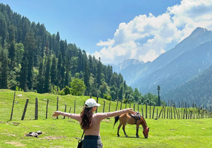Amritsar to Srinagar, Gulmarg, Pahalgam & Sonmarg Explorer