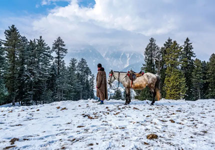 Kashmir 7 Days Tour: Srinagar, Gulmarg & Pahalgam Wonders